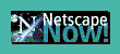 Best viewed with Netscape Navigator